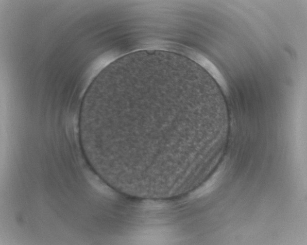 X0000115300954200911231306