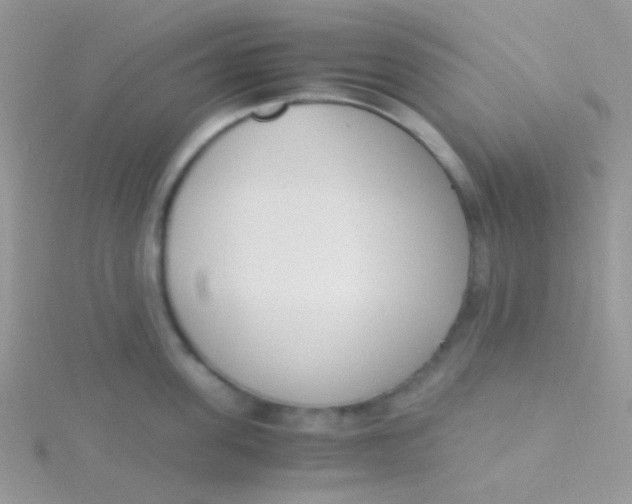 X0000115300955200911231306