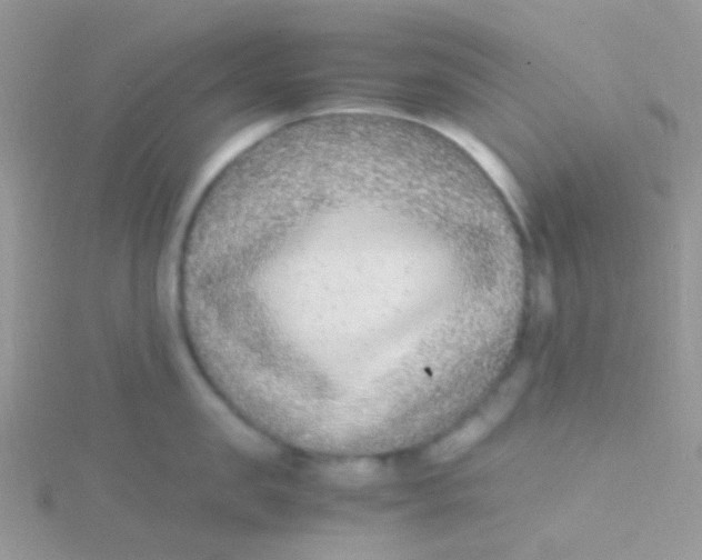 X0000115300957200911231306