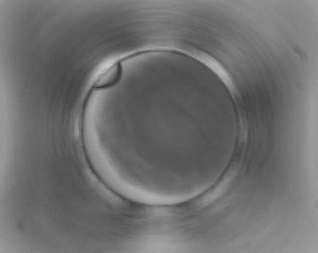 X0000115300958200911231306