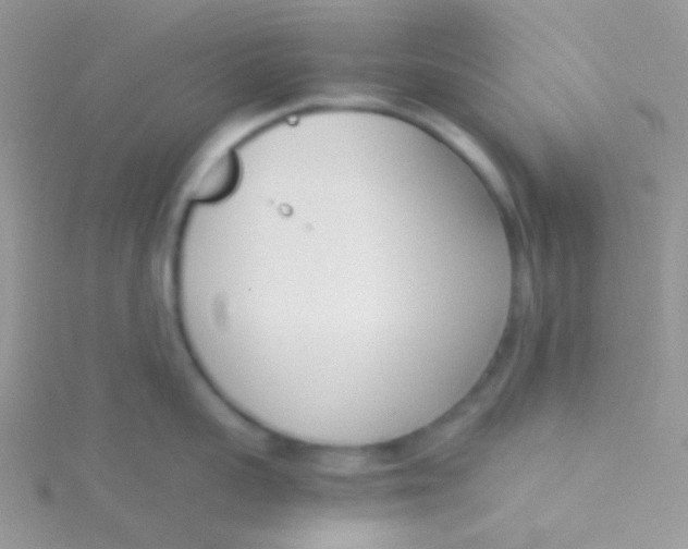 X0000115300959200911231306