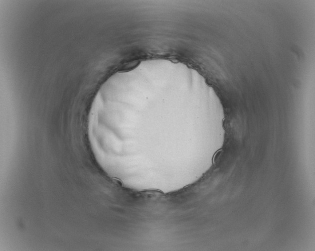 X0000115300961200911231306