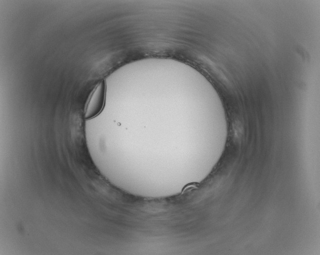 X0000115300964200911231306