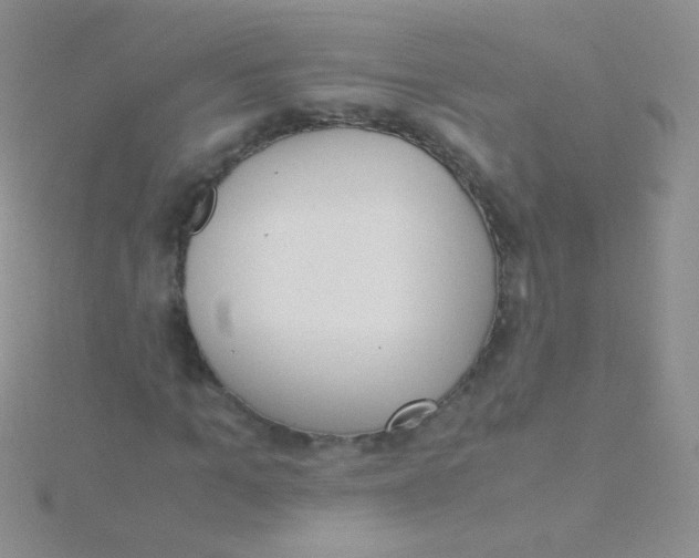 X0000115300965200911231306