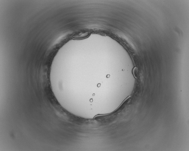 X0000115300968200911231306