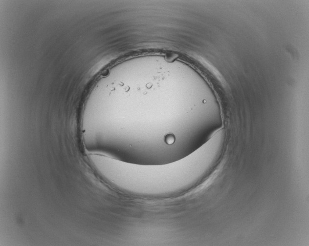 X0000115300969200911231306