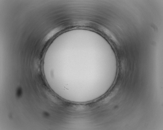 X0000115300970200911231306