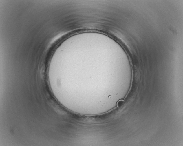 X0000115300971200911231306