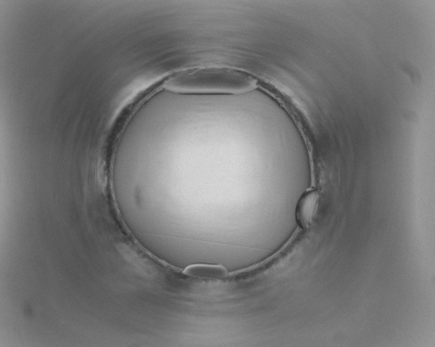 X0000115300973200911231306