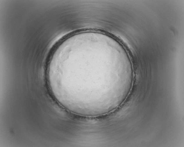 X0000115300975200911231306