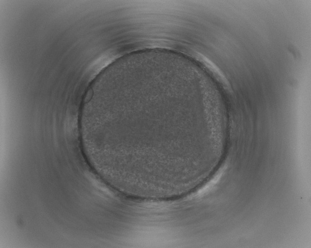 X0000115300977200911231306