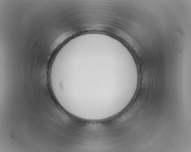 X0000115300978200911231306