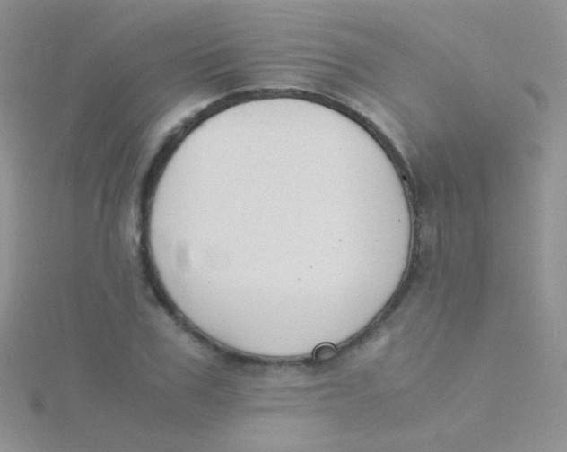 X0000115300979200911231306