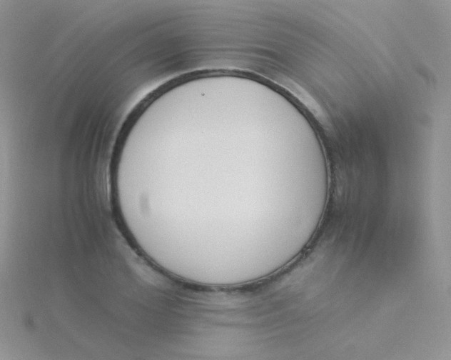 X0000115300980200911231306