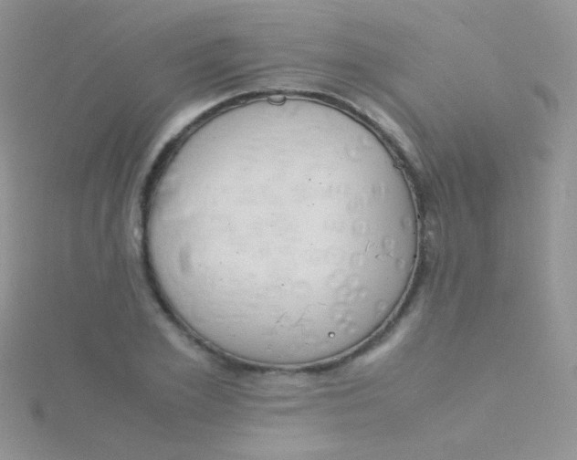 X0000115300981200911231306