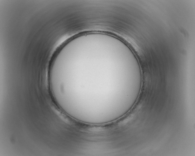 X0000115300982200911231306