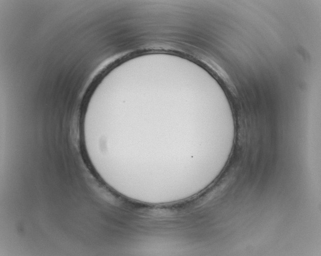 X0000115300984200911231305