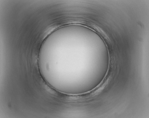 X0000115300985200911231305