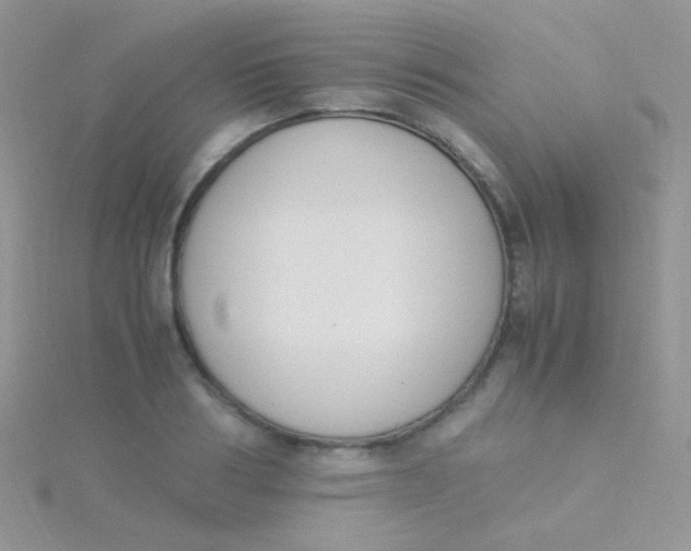 X0000115300986200911231305