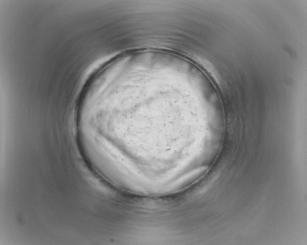 X0000115300987200911231305