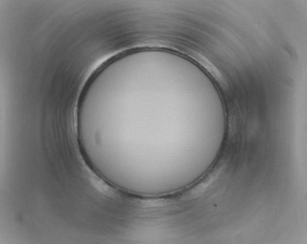 X0000115300988200911231305