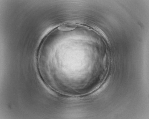 X0000115300989200911231305