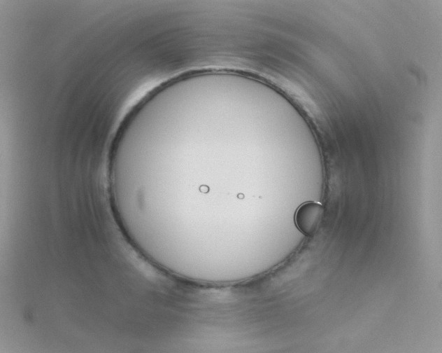 X0000115300990200911231305