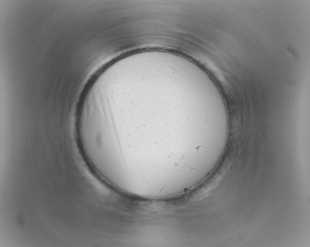 X0000115300991200911231305