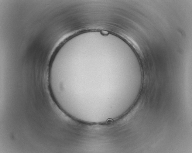 X0000115300992200911231305