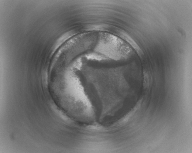 X0000115300994200911231305