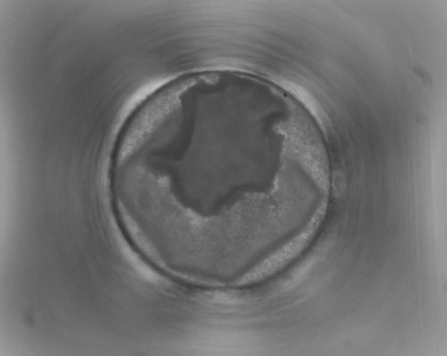 X0000115300995200911231305