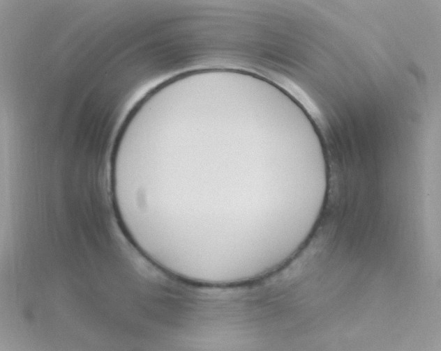 X0000115300996200911231305