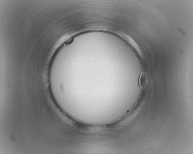 X0000115300997200911231305