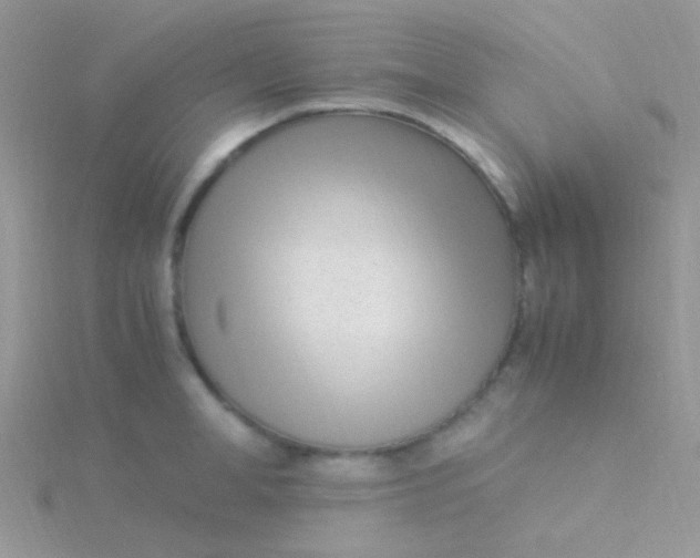 X0000115300998200911231305