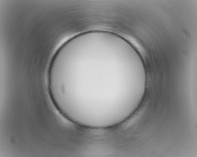 X0000115300999200911231305