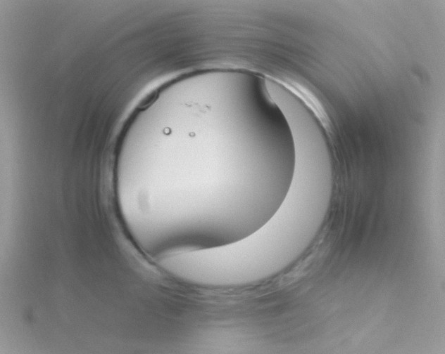 X0000115301000200911231305