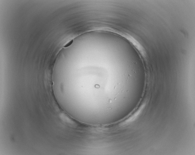 X0000115301001200911231305