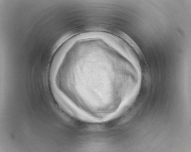 X0000115301002200911231305