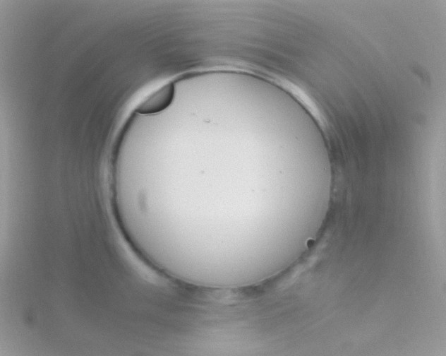 X0000115301003200911231305