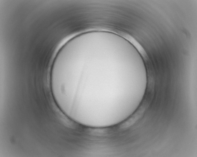 X0000115301004200911231305