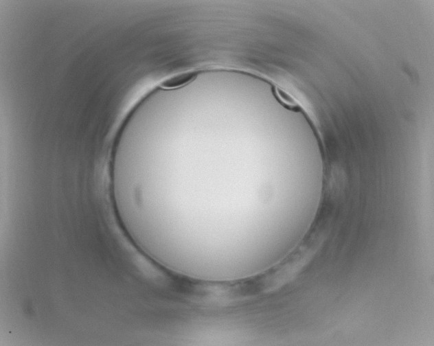 X0000115301005200911231305