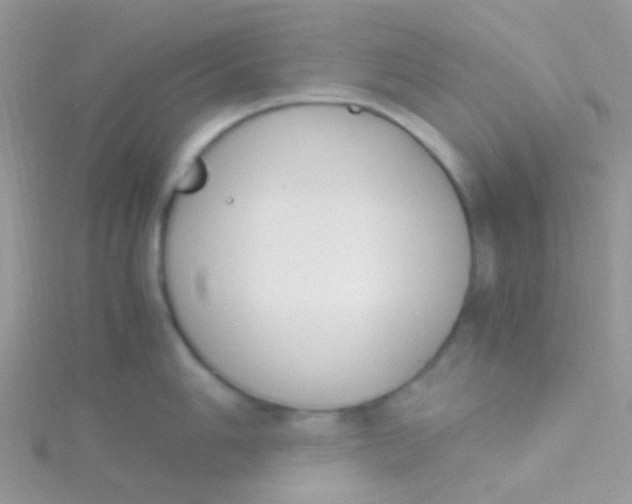 X0000115301006200911231305