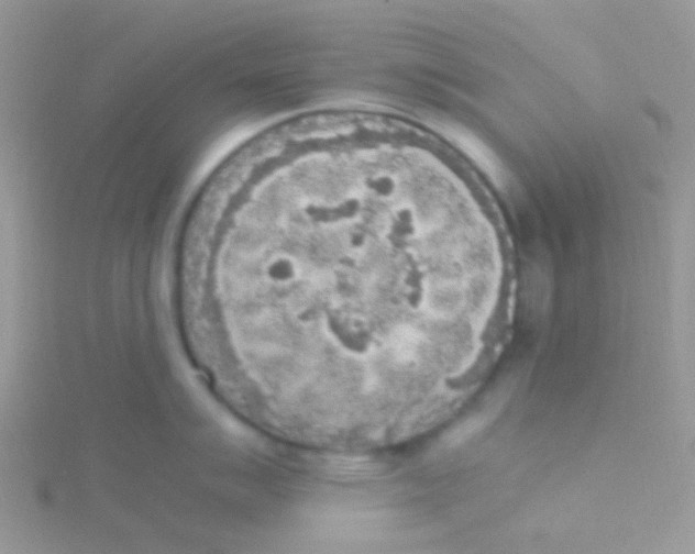 X0000115301007200911231305