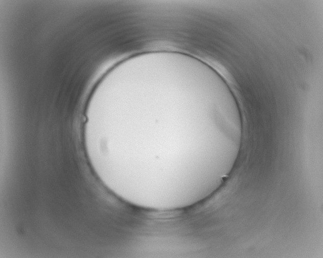 X0000115301008200911231305