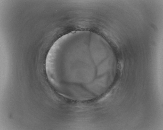 X0000115301009200911231305