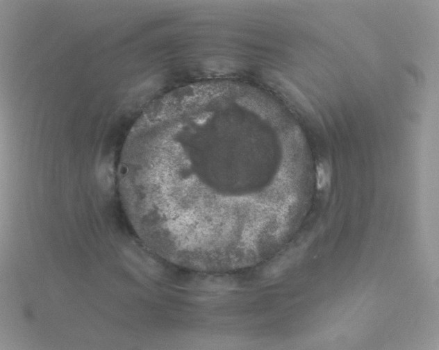 X0000115301011200911231305