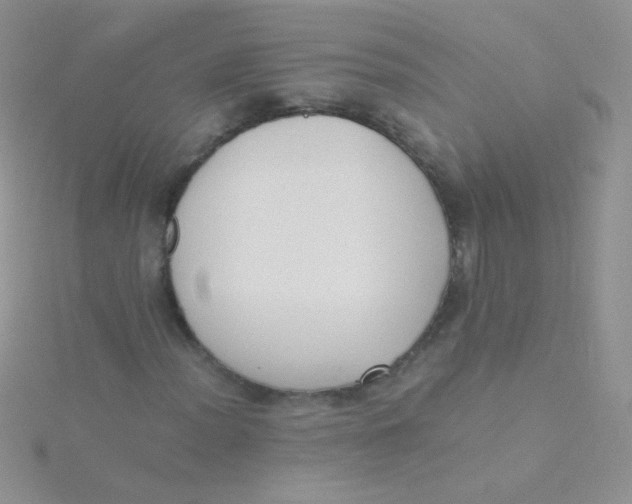 X0000115301012200911231305