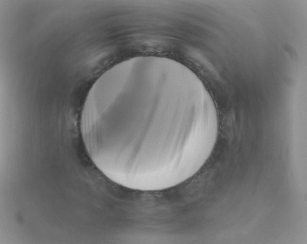 X0000115301013200911231305