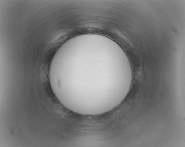 X0000115301014200911231305