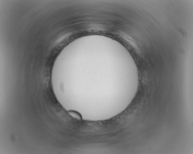 X0000115301015200911231305